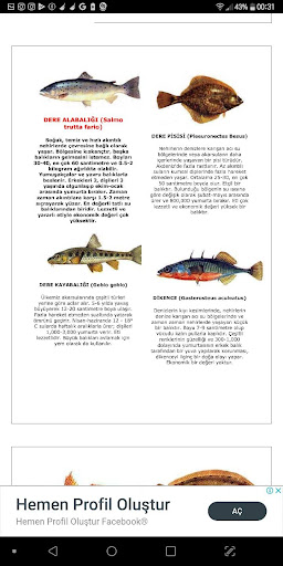 Pratik Yemek Tarifleri 2020 İnternetsiz