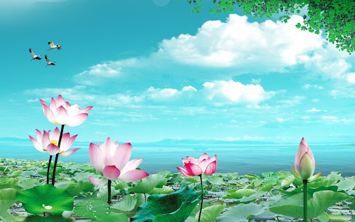 Lotus Wallpaper Screen 2