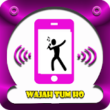 Wajah Tum Ho Movie Songs icon