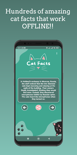 Android application Cat Facts screenshort