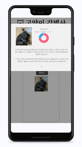 고양이 Ai 인식 Screen 3