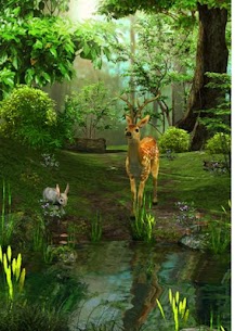 Free 3D Nature Deer Live Wallpaper 2022 3
