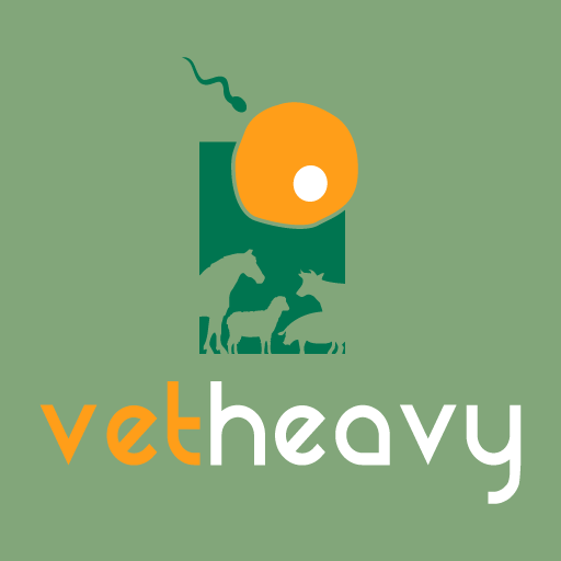 VetHeavy logo