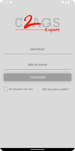 C2AGS EXPERT Screen 2