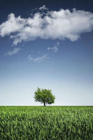 Field Wallpapers Screen 3