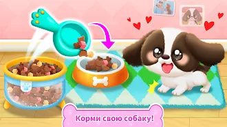 Game screenshot Панда Игра: Жизнь Собаки hack