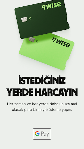 Wise ekran görüntüsü