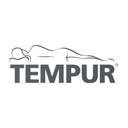 TEMPUR Ergo Pro Smart Demo logo