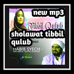 Cover Image of ダウンロード Sholawat Tibbil Qulub 1.1 APK