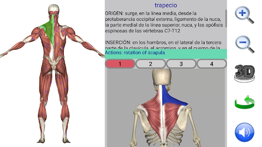 Screenshot 4 Visual Anatomy android
