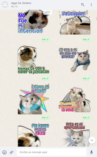 Stickers de Gatos con Frases