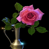 Pink Rose Pot Live Wallpaper icon