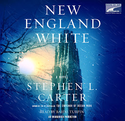 Icon image New England White: A Novel