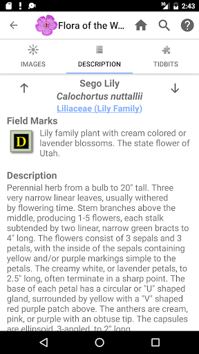 Screenshot of Flora of the Wasatch