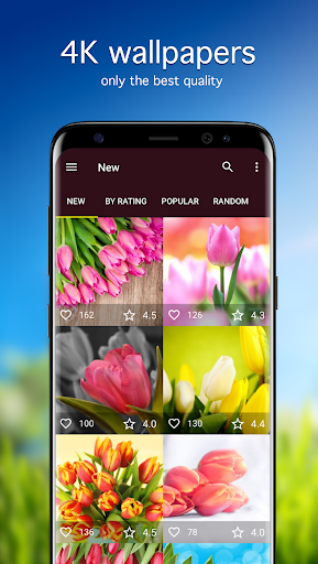 Screenshot of Tulip Wallpapers 4K