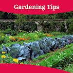 Cover Image of Download Gardening Tips 1.0 APK