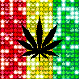 Icon image Reggae*Spangle LWP