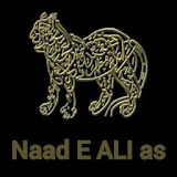 Naad e ALI a.s icon