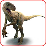 Dinosaur Raptor Wallpaper icon
