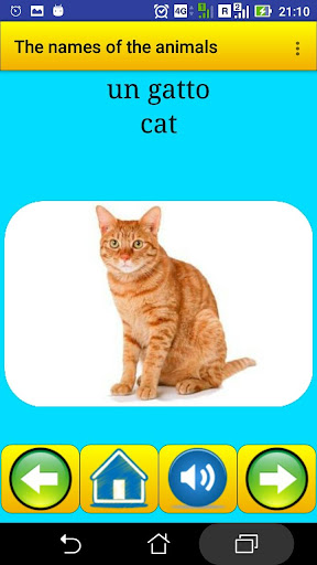 Android application Animals names in Italian screenshort