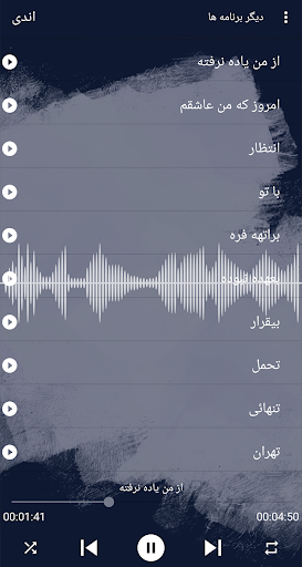 آهنكـ های اندی آفلاین Screen 2