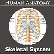 Top 14 Medical Apps Like Skeletal System - Best Alternatives