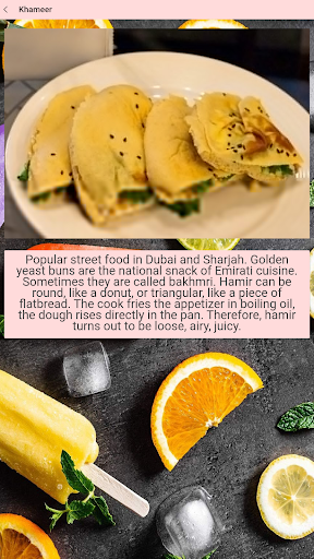 Dubai delicacies Screen 3