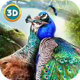 Peacock Simulator 3D icon
