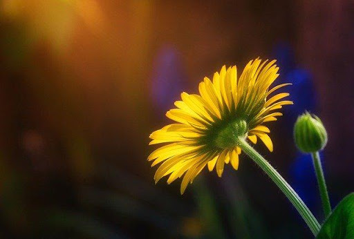 Radio Melodía instrumental