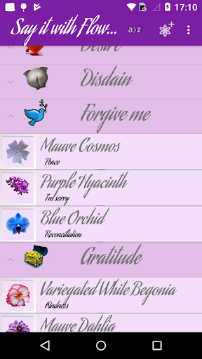 Say it with Flowers Plus Screen 2
