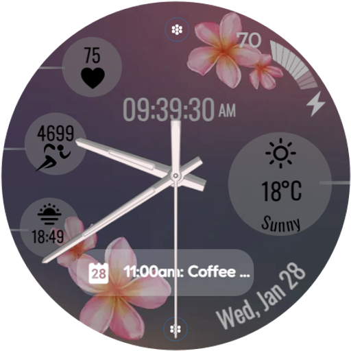 ZRU10 Watch Face for Wear OS