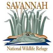 Savannah NWR Tour