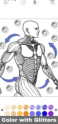 Human Body Coloring Glitter