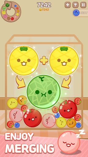 Melon Maker : Fruit Game 3
