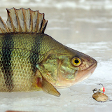 Зимняя рыбалка icon