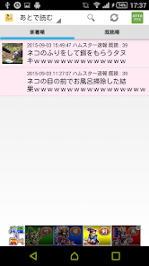 Screenshot image