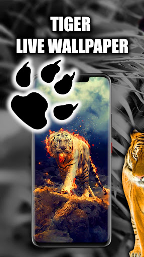 Tiger Live Wallpaper トラの壁紙 By Go Live Wallpaper Google Play 日本 Searchman アプリマーケットデータ
