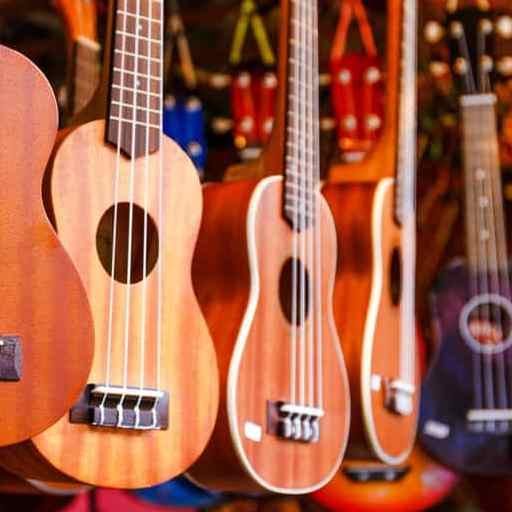 Afinador de Ukulele logo
