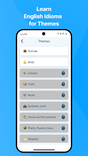 Android application English Idioms of Dictionary screenshort