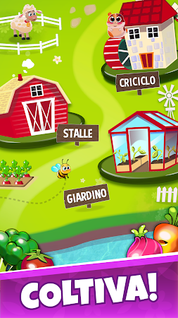 Game screenshot Burraco Italiano - Multiplayer apk download