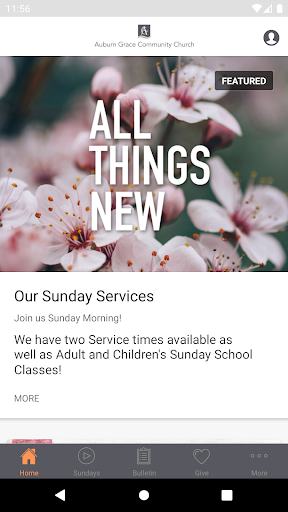 Auburn Grace Church Screenshot