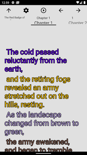 Book, The Red Badge of Courage Screen 2