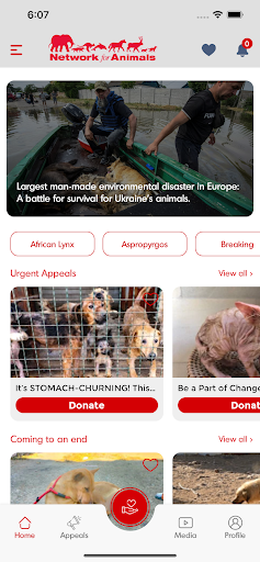 Network for Animals Screen 3
