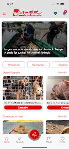 Network for Animals
