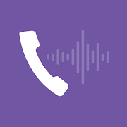 WIRE - business call recording