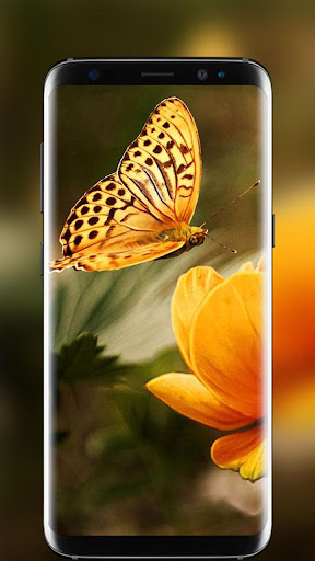 Butterfly Live Wallpaper 2019