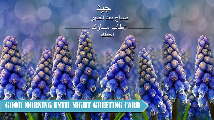 Arabic Wishes Morning to Night - 4.22.04.0 - (Android)