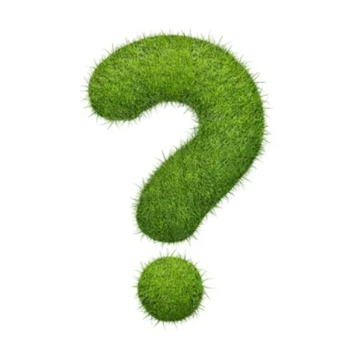 Plants Pair Matching Game logo