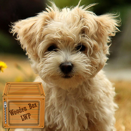 maltese puppy wallpaper logo