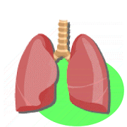 Lung Sounds 2.0 Icon